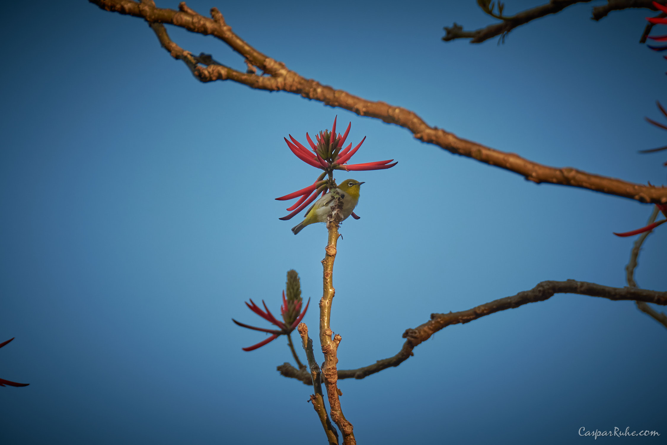 Taipei Botanical Garden